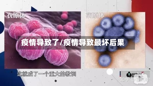 疫情导致了/疫情导致最坏后果-第3张图片
