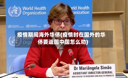 疫情期间海外华侨(疫情时在国外的华侨要返回中国怎么劝)