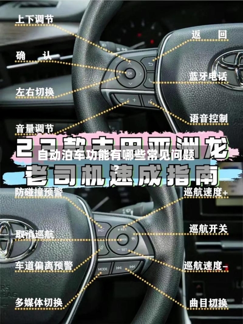 自动泊车功能有哪些常见问题?-第2张图片
