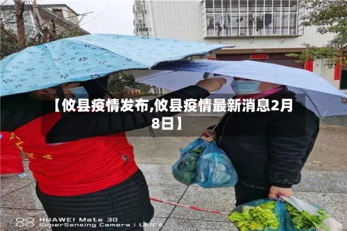 【攸县疫情发布,攸县疫情最新消息2月8日】-第2张图片