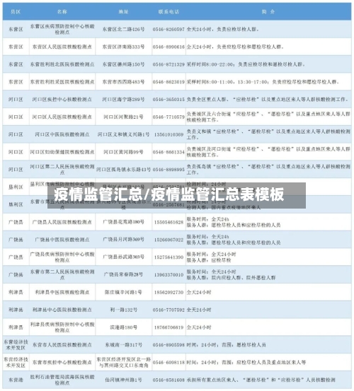疫情监管汇总/疫情监管汇总表模板-第2张图片
