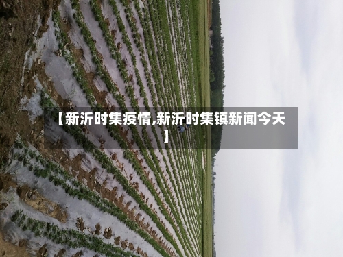 【新沂时集疫情,新沂时集镇新闻今天】