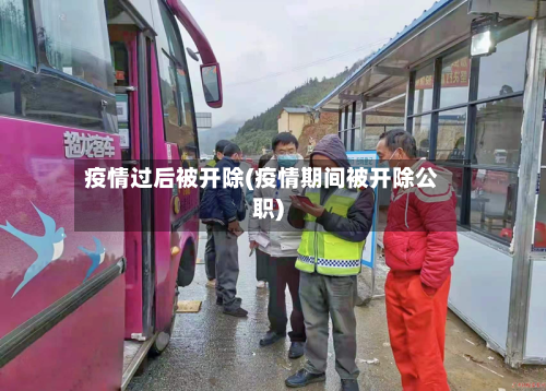 疫情过后被开除(疫情期间被开除公职)