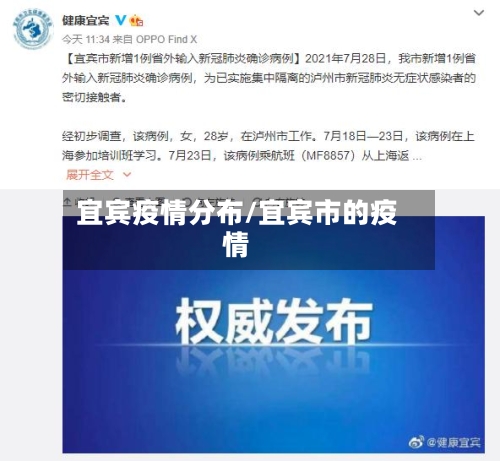 宜宾疫情分布/宜宾市的疫情
