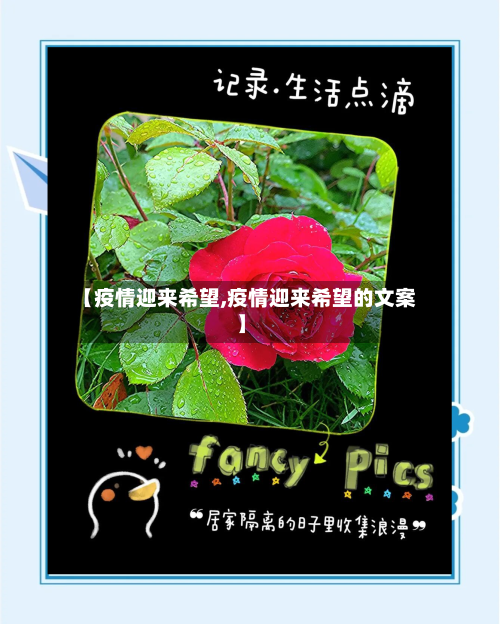 【疫情迎来希望,疫情迎来希望的文案】
