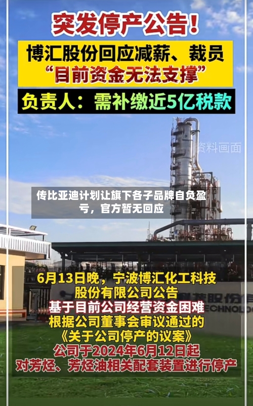 传比亚迪计划让旗下各子品牌自负盈亏，官方暂无回应-第2张图片
