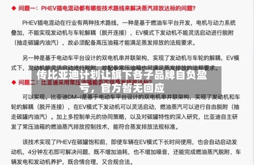 传比亚迪计划让旗下各子品牌自负盈亏，官方暂无回应-第3张图片