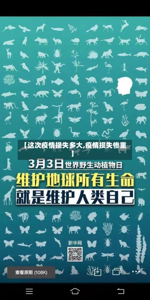 【这次疫情损失多大,疫情损失惨重】-第2张图片