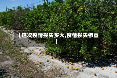 【这次疫情损失多大,疫情损失惨重】