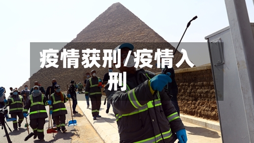 疫情获刑/疫情入刑