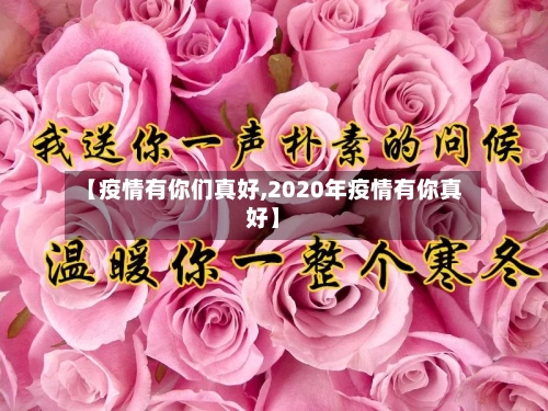 【疫情有你们真好,2020年疫情有你真好】-第2张图片
