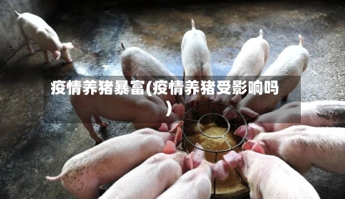 疫情养猪暴富(疫情养猪受影响吗)