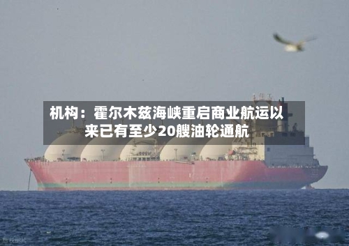 机构:霍尔木兹海峡重启商业航运以来已有至少20艘油轮通航-第2张图片