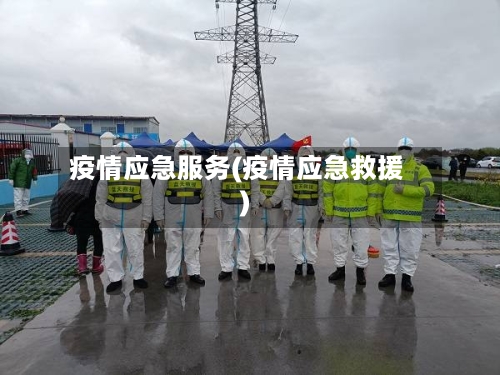 疫情应急服务(疫情应急救援)
