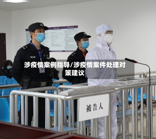 涉疫情案例指导/涉疫情案件处理对策建议-第2张图片