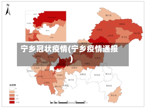 宁乡冠状疫情(宁乡疫情通报)