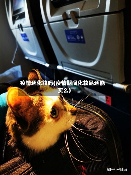 疫情还化妆吗(疫情期间化妆品还能买么)-第3张图片