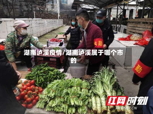 湖南泸溪疫情/湖南泸溪属于哪个市的-第3张图片