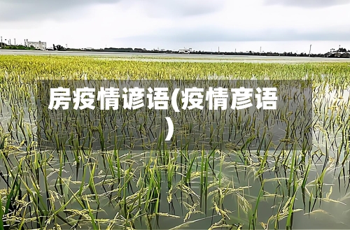 房疫情谚语(疫情彦语)-第3张图片