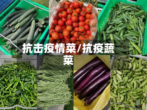 抗击疫情菜/抗疫蔬菜-第3张图片