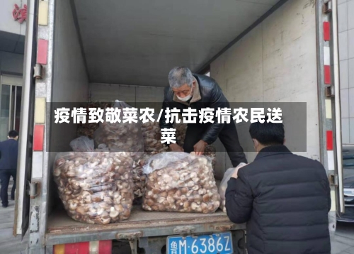 疫情致敬菜农/抗击疫情农民送菜