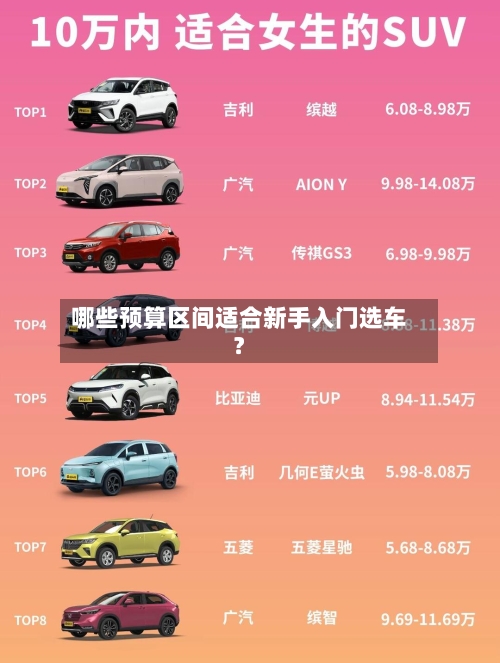 哪些预算区间适合新手入门选车?-第2张图片