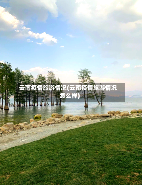 云南疫情旅游情况(云南疫情旅游情况怎么样)
