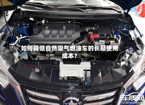 如何降低自然吸气燃油车的长期使用成本?-第3张图片