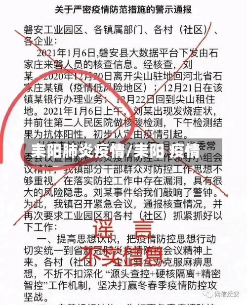 耒阳肺炎疫情/耒阳 疫情