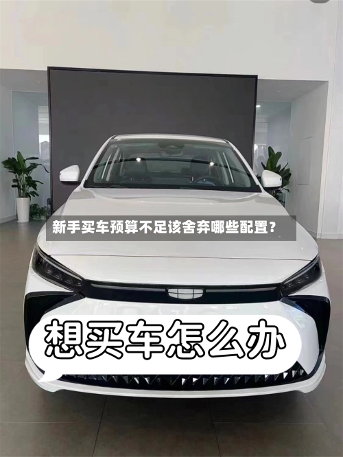 新手买车预算不足该舍弃哪些配置？