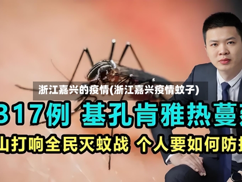 浙江嘉兴的疫情(浙江嘉兴疫情蚊子)-第3张图片