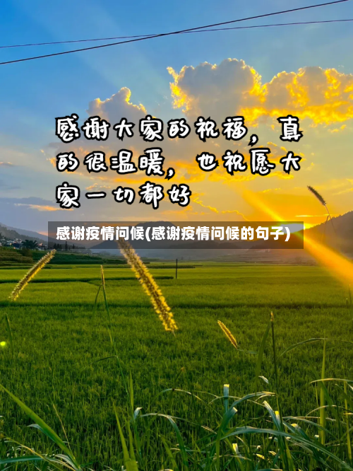 感谢疫情问候(感谢疫情问候的句子)-第2张图片