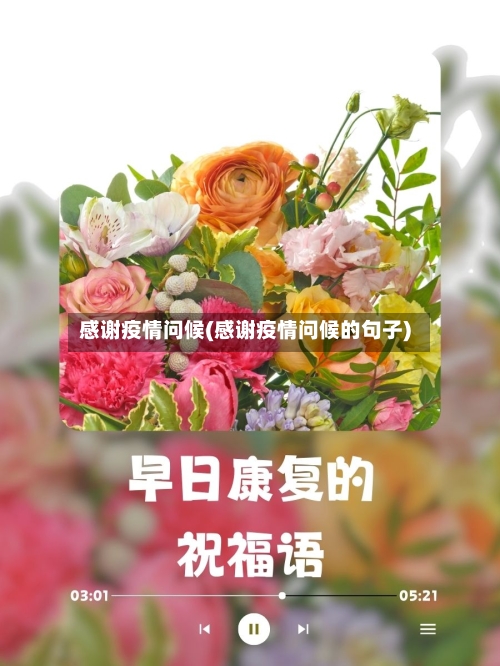 感谢疫情问候(感谢疫情问候的句子)