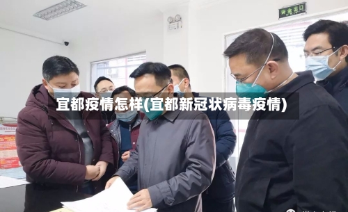 宜都疫情怎样(宜都新冠状病毒疫情)