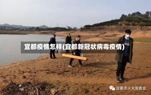 宜都疫情怎样(宜都新冠状病毒疫情)-第2张图片