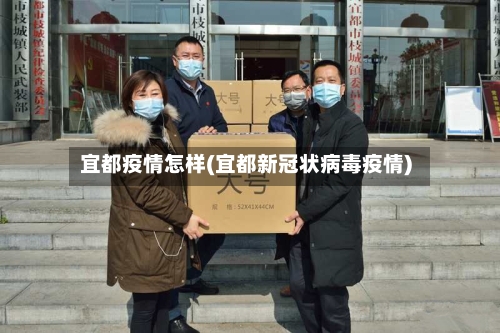 宜都疫情怎样(宜都新冠状病毒疫情)-第3张图片