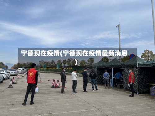 宁德现在疫情(宁德现在疫情最新消息)-第2张图片