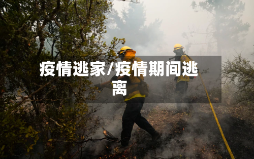 疫情逃家/疫情期间逃离-第3张图片