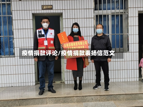 疫情捐款评论/疫情捐款表扬信范文-第2张图片