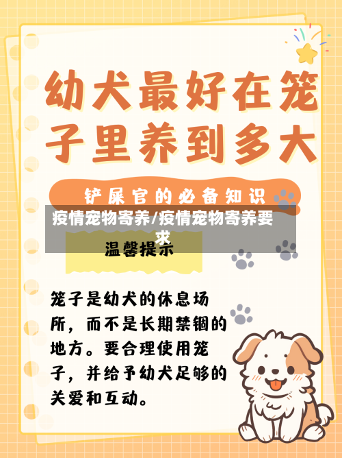 疫情宠物寄养/疫情宠物寄养要求