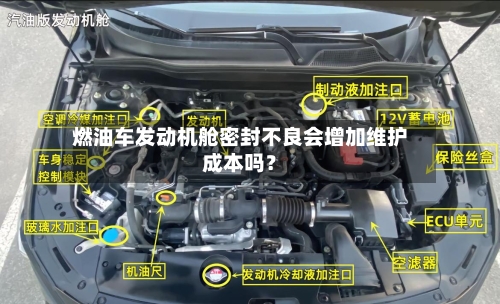 燃油车发动机舱密封不良会增加维护成本吗?-第3张图片