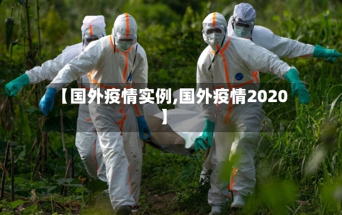 【国外疫情实例,国外疫情2020】