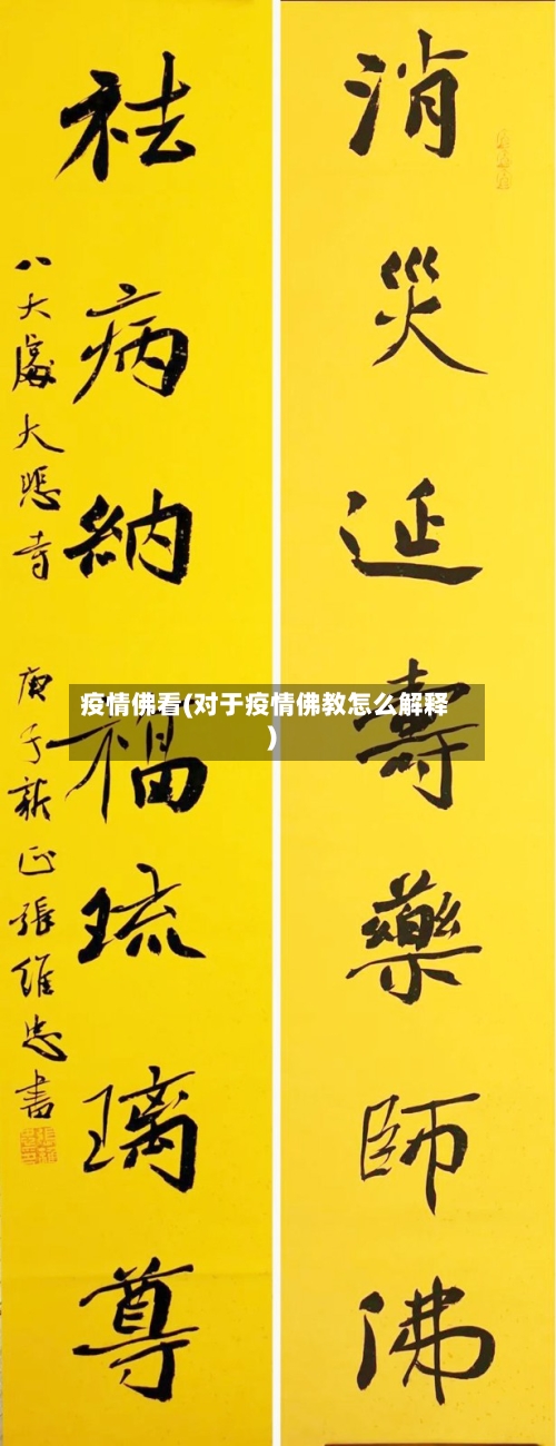 疫情佛看(对于疫情佛教怎么解释)