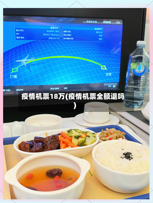 疫情机票18万(疫情机票全额退吗)-第3张图片