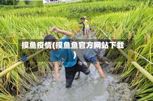 摸鱼疫情(摸鱼鱼官方网站下载)-第2张图片