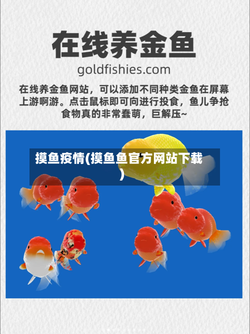 摸鱼疫情(摸鱼鱼官方网站下载)-第3张图片