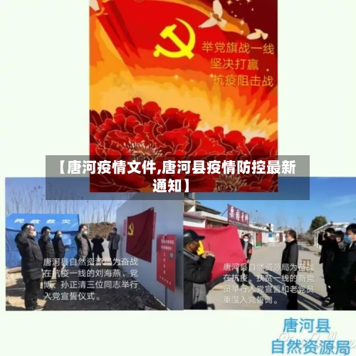 【唐河疫情文件,唐河县疫情防控最新通知】