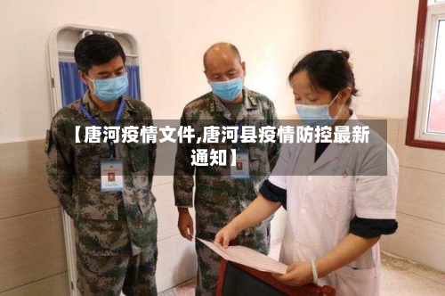 【唐河疫情文件,唐河县疫情防控最新通知】-第2张图片