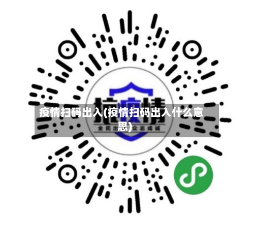 疫情扫码出入(疫情扫码出入什么意思)
