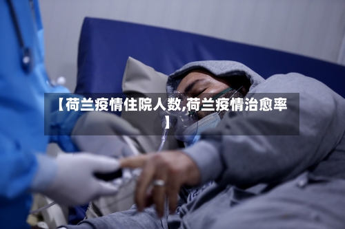 【荷兰疫情住院人数,荷兰疫情治愈率】-第2张图片